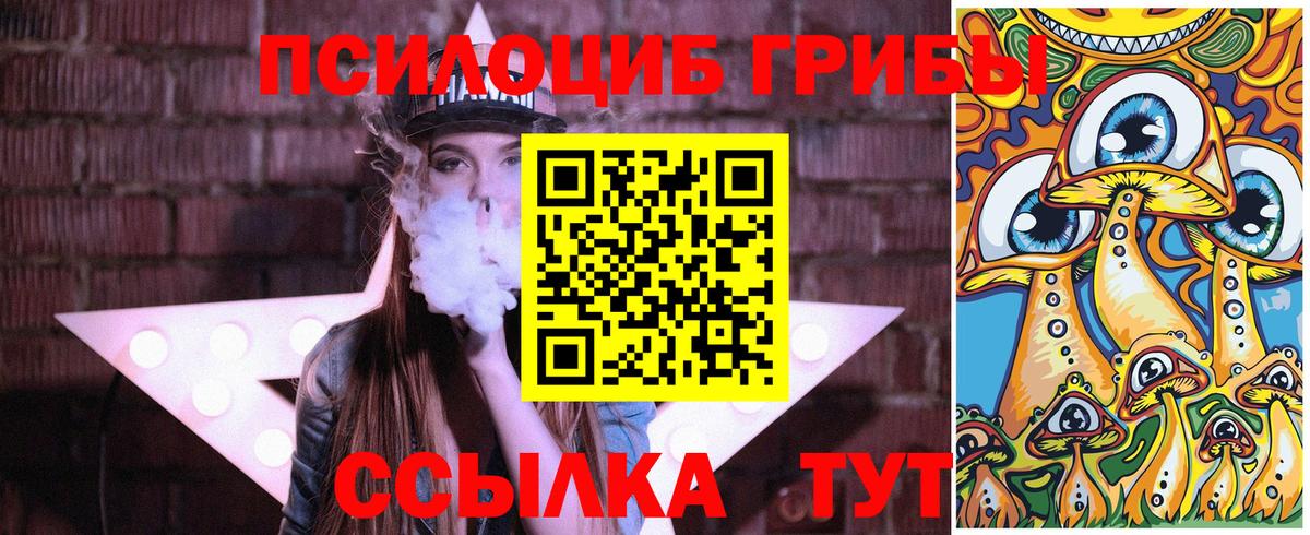 Мурино  Галлюциногенные грибы мицелий  Вход с VPN  сколько стоит  Псилоцибиновые грибы Magic Shrooms 
