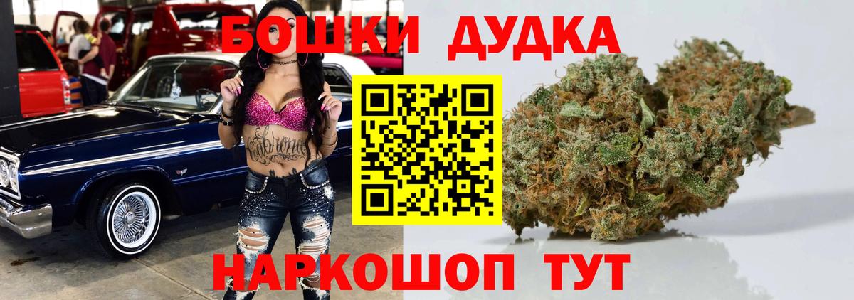 Конопля сатива  Вход с VPN  Мурино  Конопля план  МАРИХУАНА OG Kush 